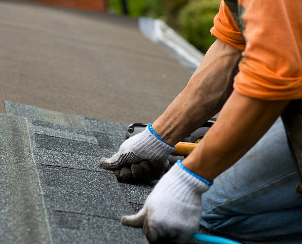 Best Emergency Roof Repair  in Highland Park, MI