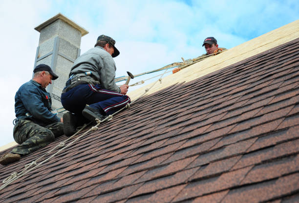 Best Local Roofing Companies  in Highland Park, MI